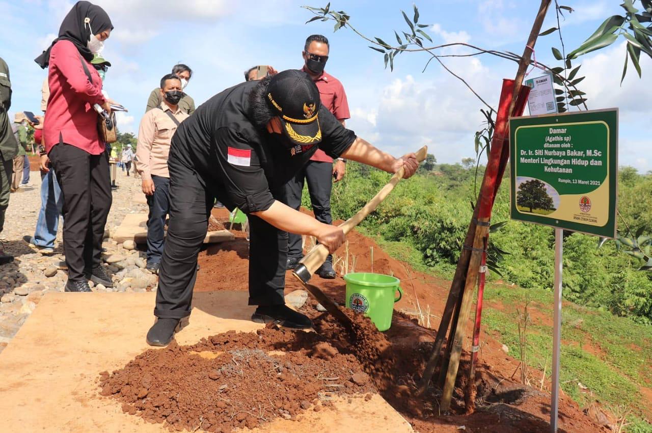 Penanaman Pohom dalam Rangka Hari Bakti Rimbawan