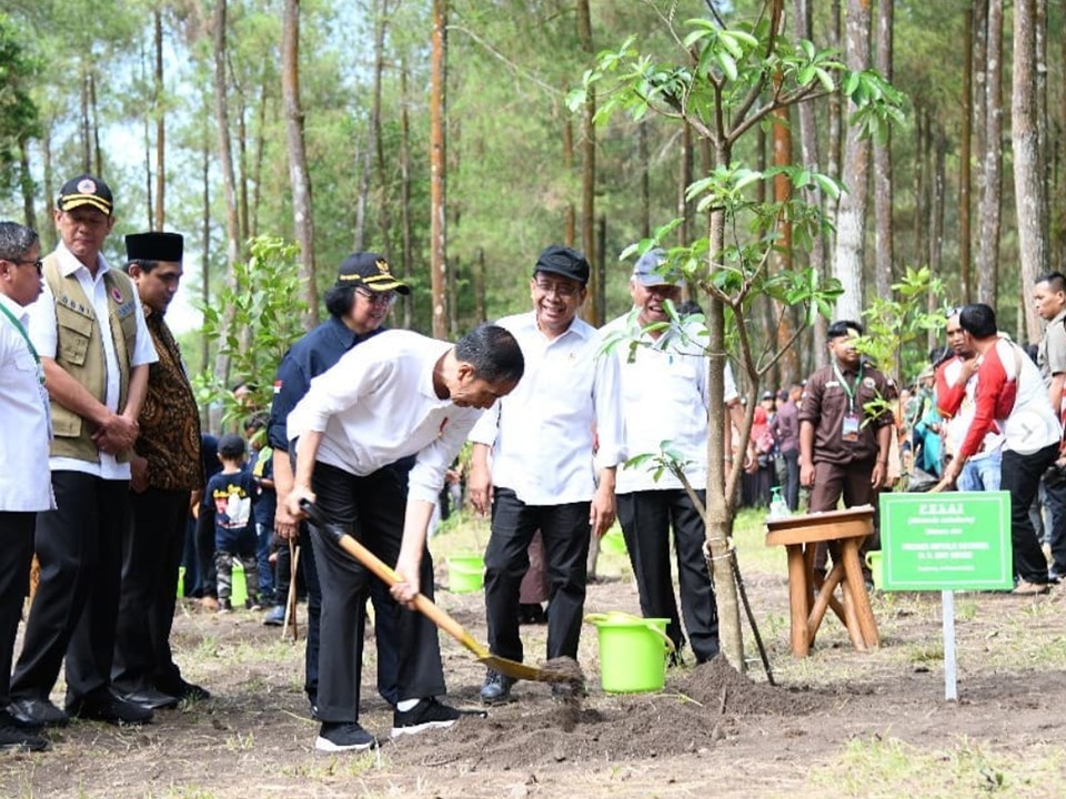 Jokowi Menanam Pohon di Taman Nasional Gunung Merapi